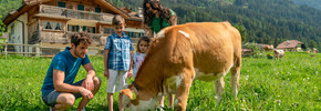Val di Fiemme - Predazzo - Agritur Maso Lena - Famiglia gioca con le mucche al pascolo | © Aringa Studio