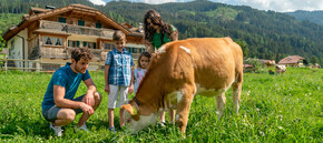 Val di Fiemme - Predazzo - Agritur Maso Lena - Famiglia gioca con le mucche al pascolo | © Aringa Studio