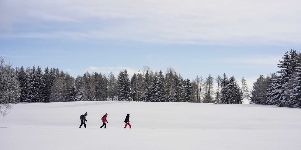 Ciaspolate alle Viote del Monte Bondone