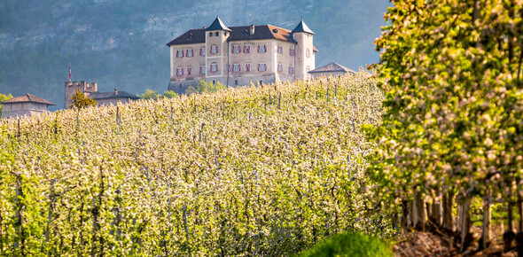 Средневековое очарование