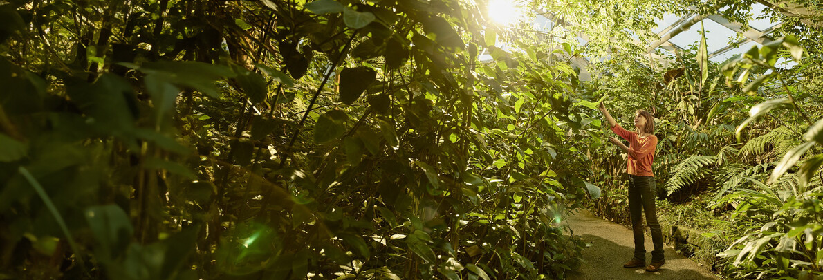 Storie di vita in Trentino