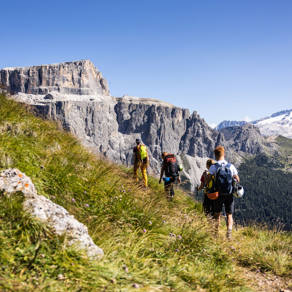 7 days in Trentino