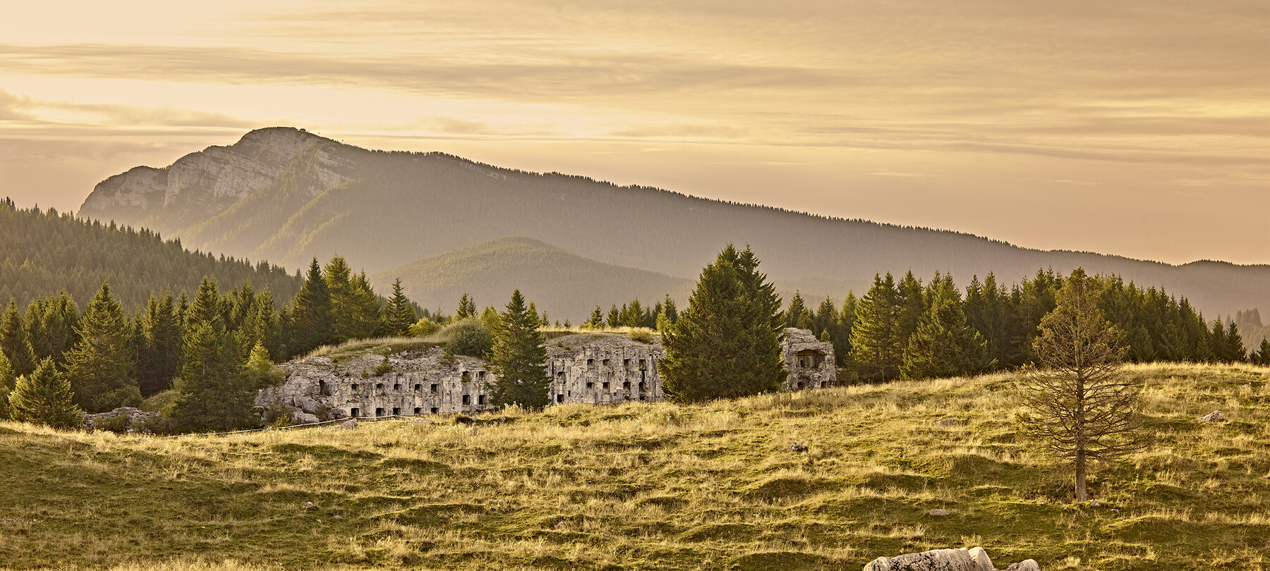 Sentiero della Pace - Path of Peace: Section 5 | Alpe Cimbra