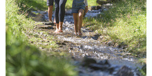 Esperienze Nella Natura in Trentino Esperienze Nella Natura in Trentino