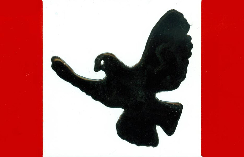 Discover all the stages of the Path of Peace 