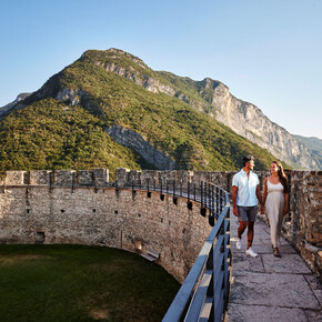 The castles are brimming with life!