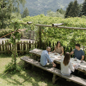 Gusto di montagna