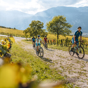 Dolomiti Paganella - Piana Rotaliana -  | ©  Mathäus Gartner