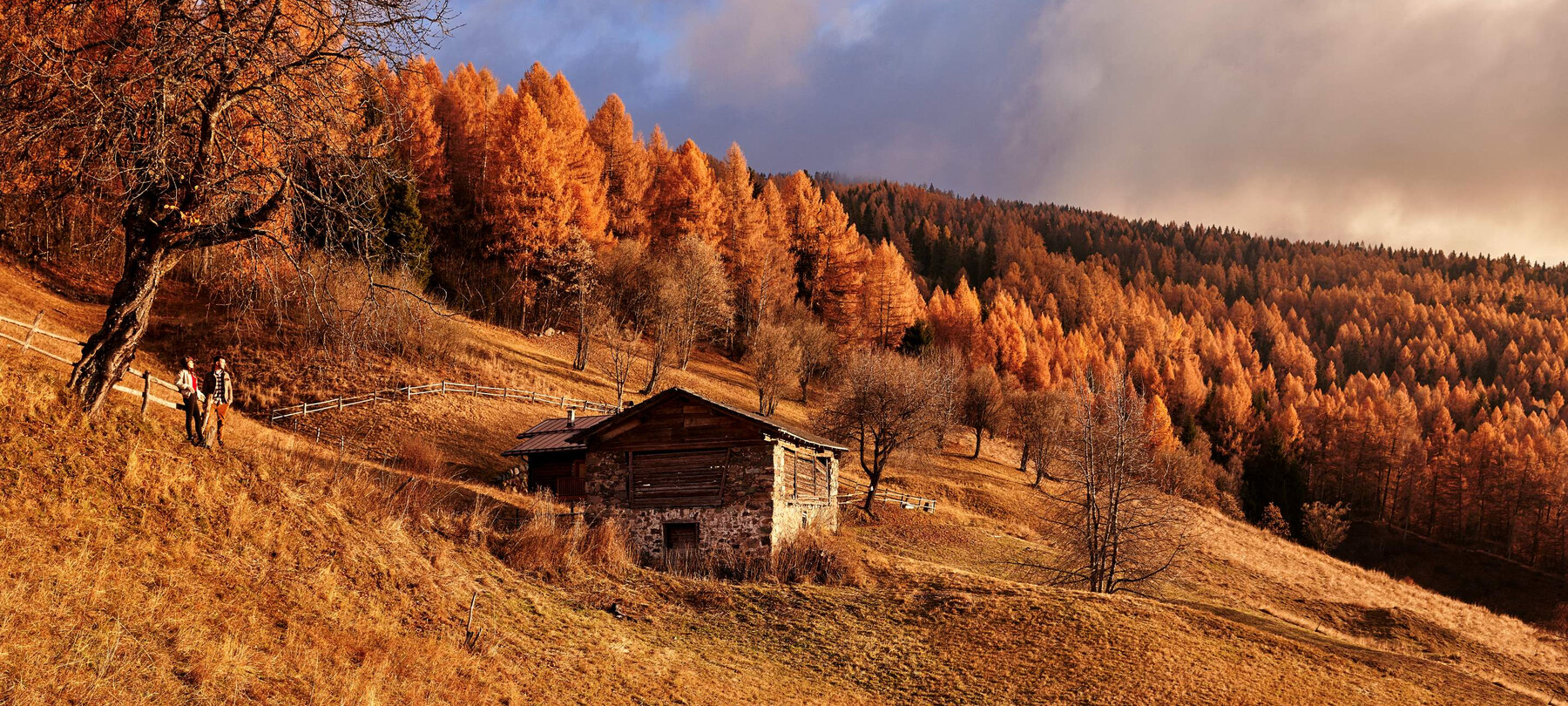 Valle dei Mòcheni: Farmsteads, Mines and Alpine Traditions
