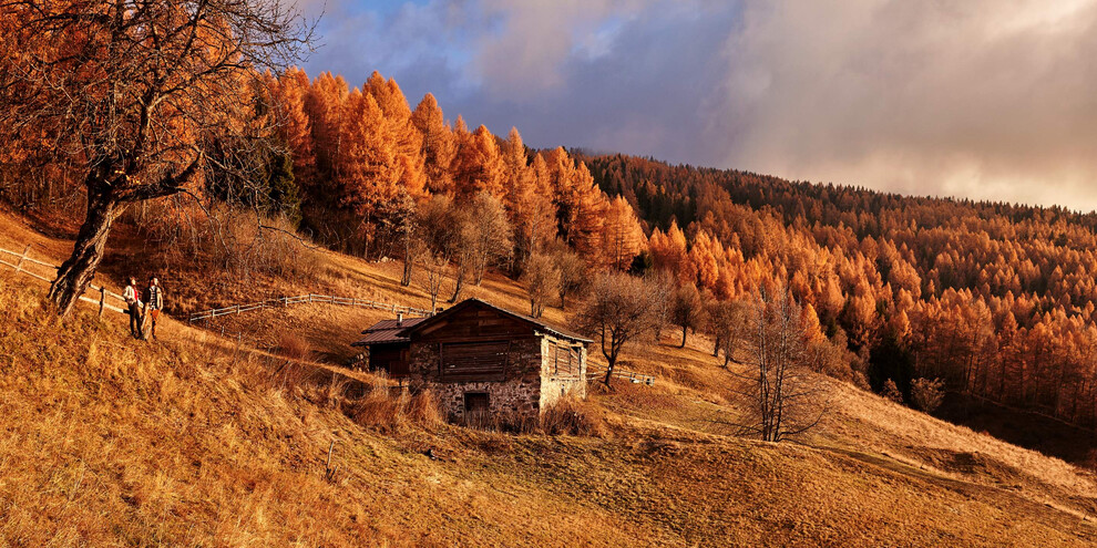 Objevování Canopiů