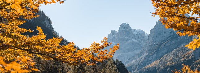 Madonna di Campiglio, Pinzolo e Val Rendena, Giudicarie e Valle del Chiese