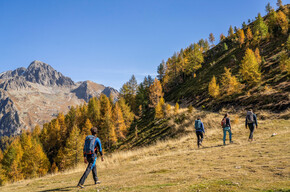 Valsugana, Lagorai e Valle dei Mocheni 