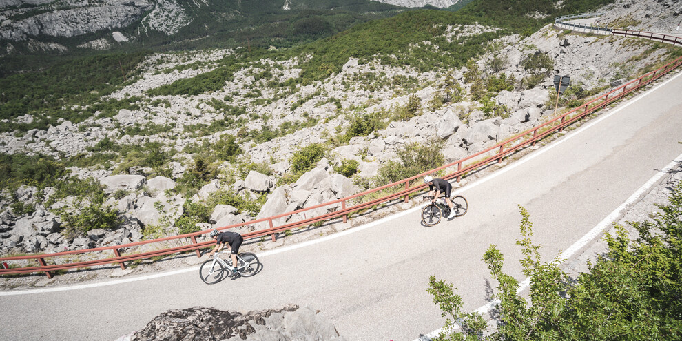 O preferisci la bici da strada?