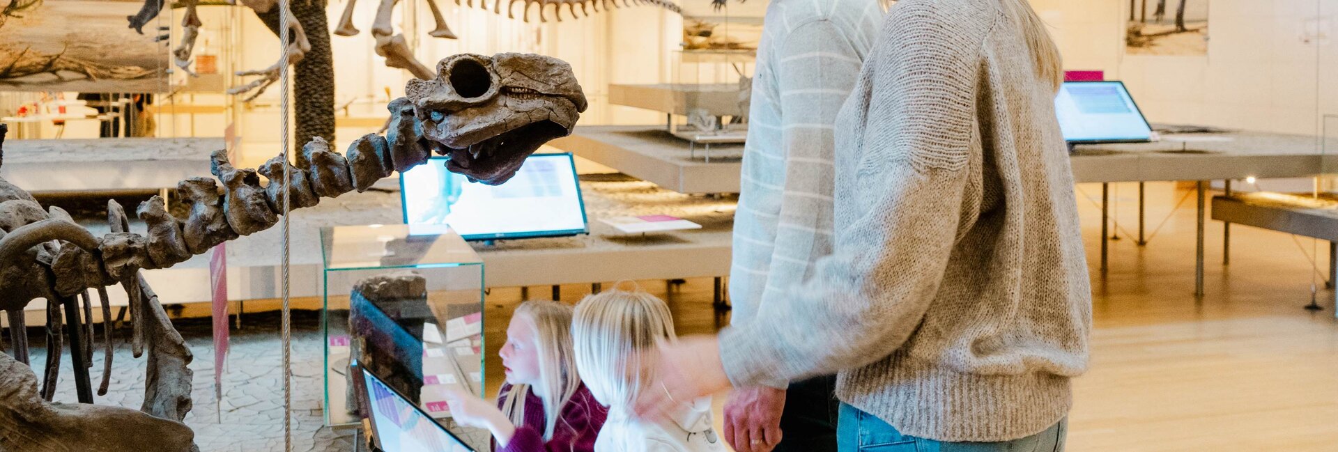 Trento - A city to discover 