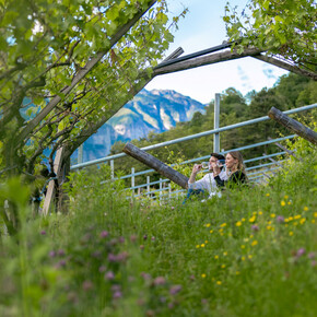 Dolomiti Paganella - Piana Rotaliana - Lavis