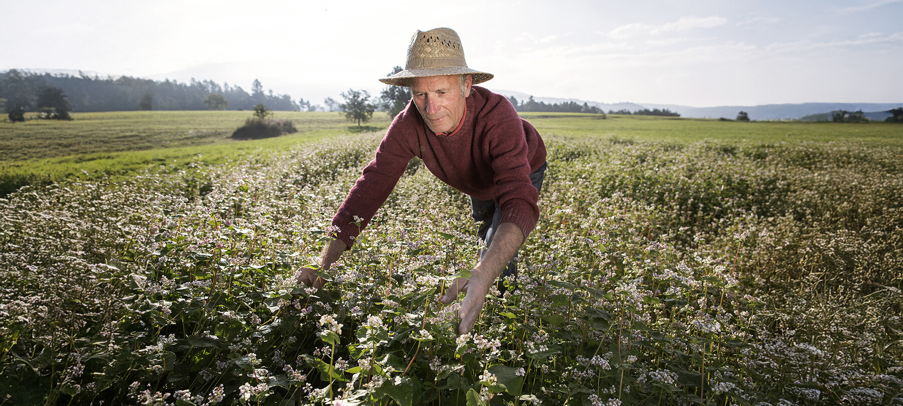 Mountain agriculture