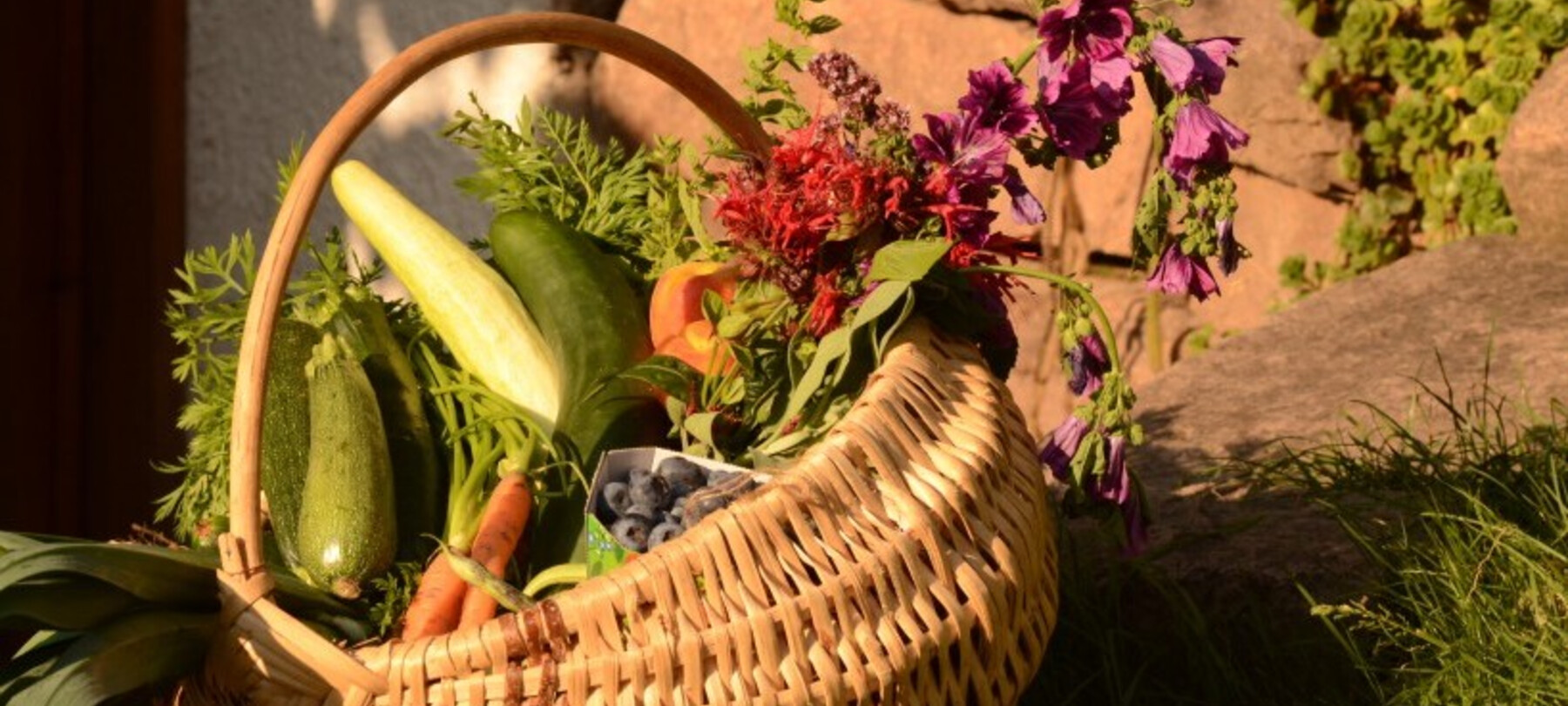 Blueberries from the Trentino Supply Chain
