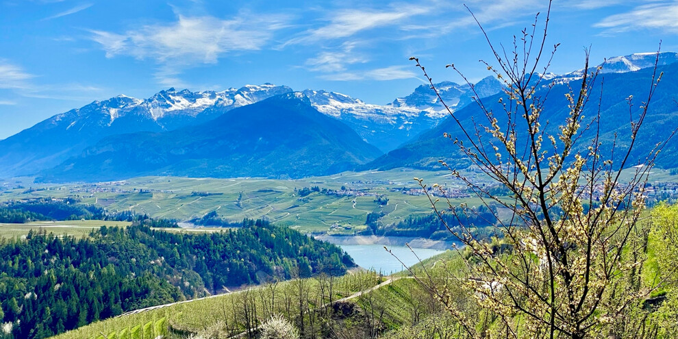 Procházka mezi květinami, Val di Non