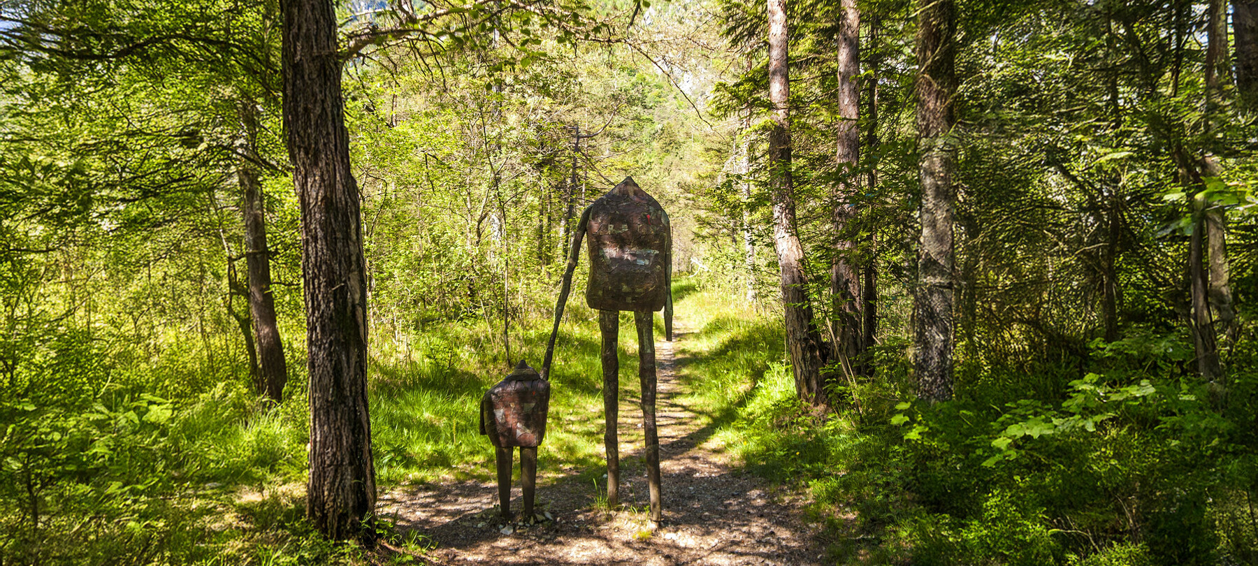Sustainable Alpe Cimbra 