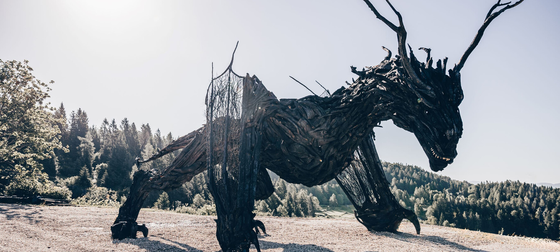 Winged Dragon of Vaia: Everything You Need to Know for Your Visit