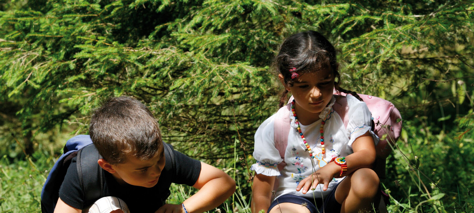 Met de kinderen in Alpe Cimbra: op zoek naar de draak