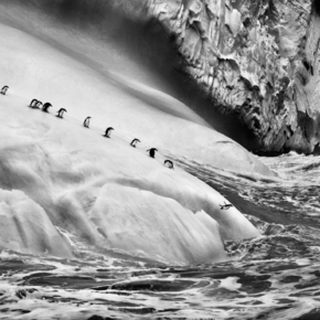 Sebastião Salgado. Ghiacciai