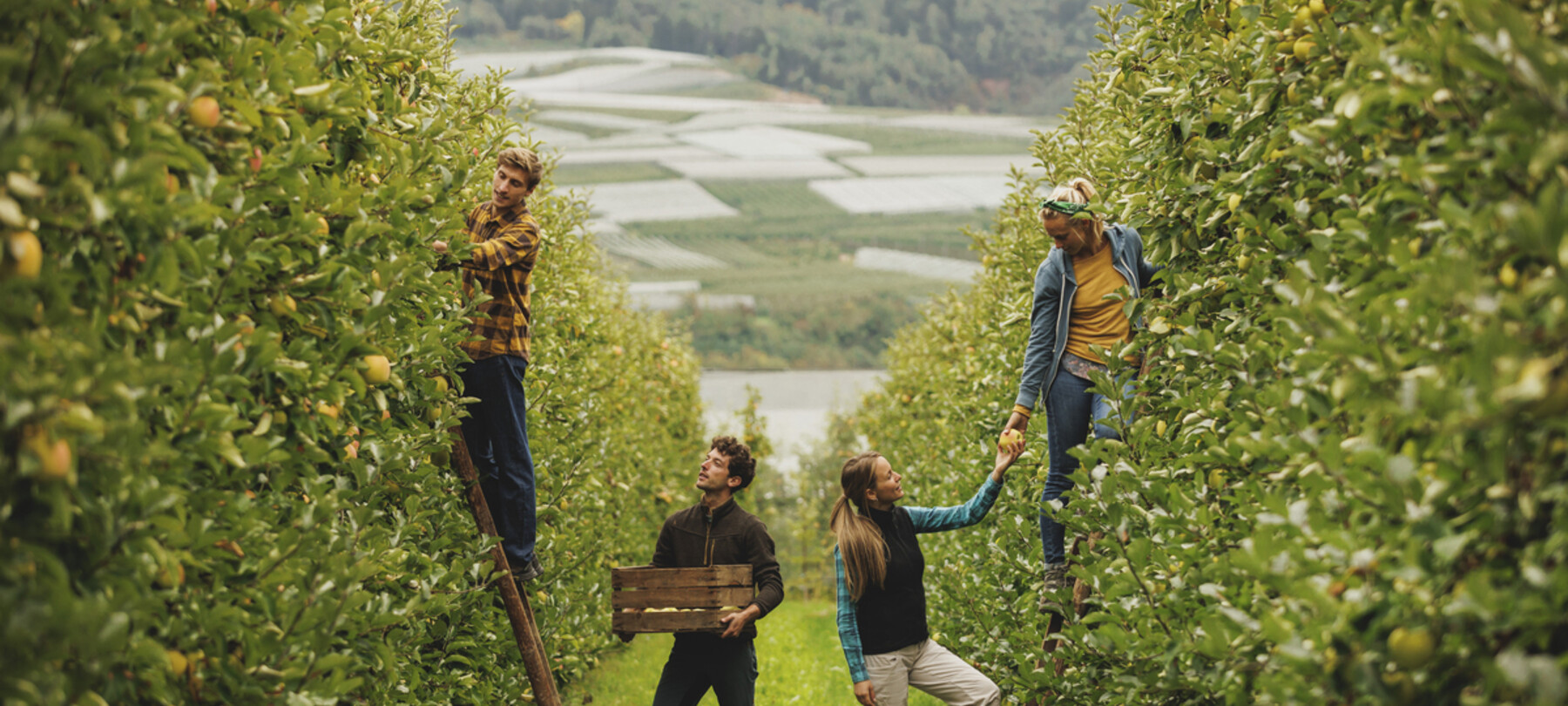 A Sustainable Val di Non 