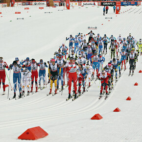 Competition disciplines