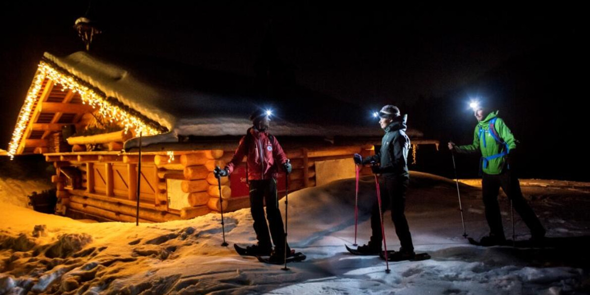 Passeggiate sulla neve al chiaro di luna