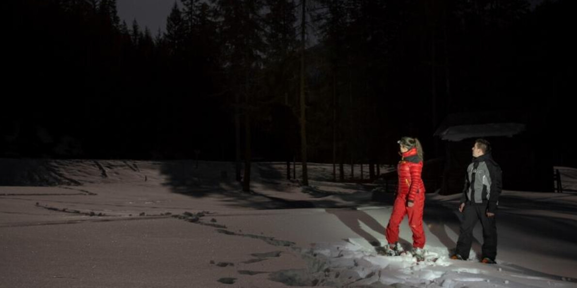 Passeggiate sulla neve al chiaro di luna