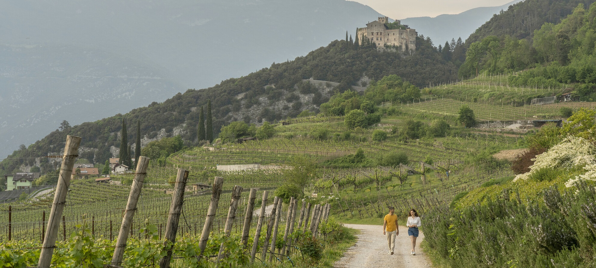 Garda Trentino - Valle dei Laghi - Madruzzo - Az Agr Pravis | © Luca Rotondo