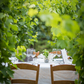 Erfahrungen mit Wein