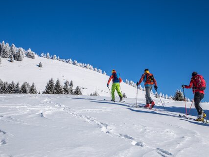Folgaria