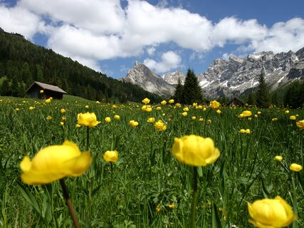 Network of Nature Reserves - Val di Fassa | © Archivio Immagini ApT Val di Fassa - Foto di Nicola Angeli