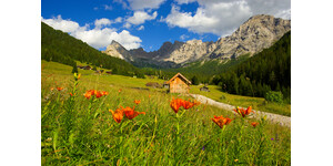 Eventi in Trentino: sagre, festival, mercatini e manifestazioni tutto l ... | © Archivio Immagini ApT Val di Fassa - Foto di Nicola Angeli Eventi in Trentino: sagre, festival, mercatini e manifestazioni tutto l ... | © Archivio Immagini ApT Val di Fassa - Foto di Nicola Angeli