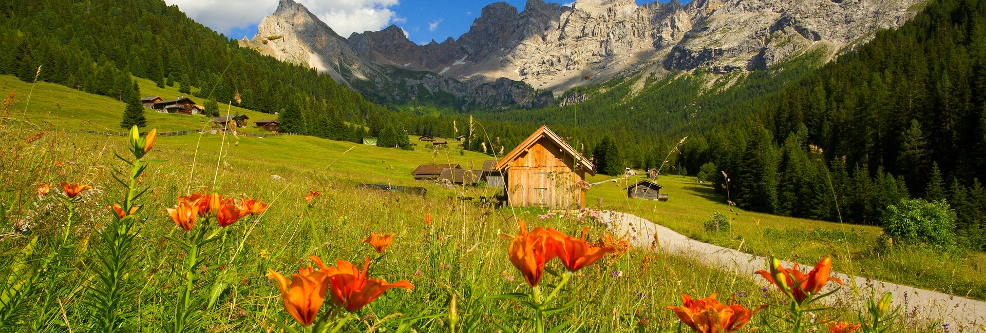 Network of Nature Reserves - Val di Fassa | © Archivio Immagini ApT Val di Fassa - Foto di Nicola Angeli