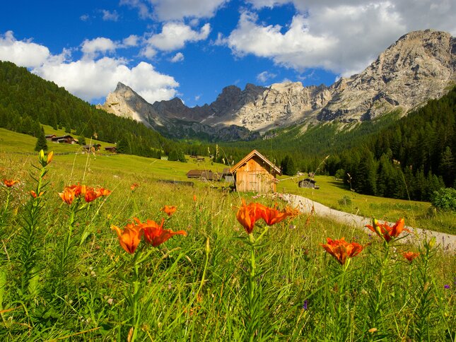 Network of Nature Reserves - Val di Fassa | © Archivio Immagini ApT Val di Fassa - Foto di Nicola Angeli