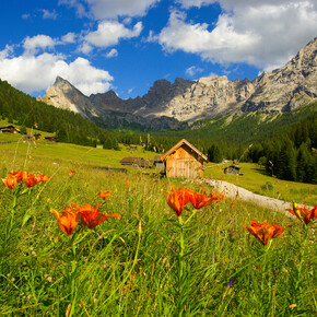 Naturschutzgebieten | © Archivio Immagini ApT Val di Fassa - Foto di Nicola Angeli