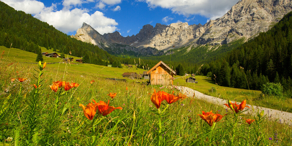 Val di Fassa, Val San Nicolò Itinerary  | © Archivio Immagini ApT Val di Fassa - Foto di Nicola Angeli