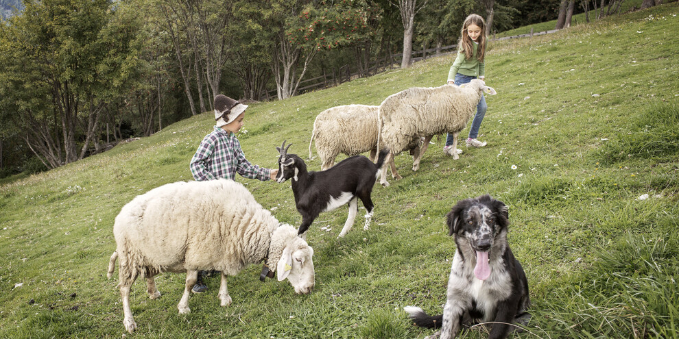 The educational farms of Trentino