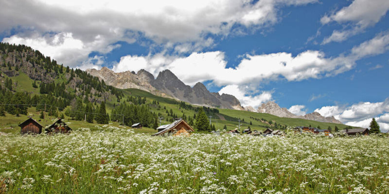 Passo San Pellegrino  #9