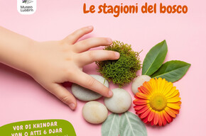 Le stagioni del bosco 1