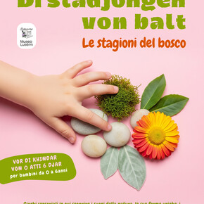 Le stagioni del bosco 1