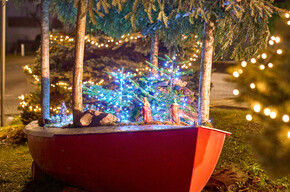 Baitoni in the street - Winter Edition Baitoni in the street - Winter Edition