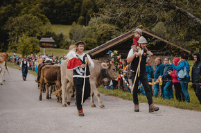 Desmalgada