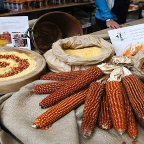 Festival of Polenta