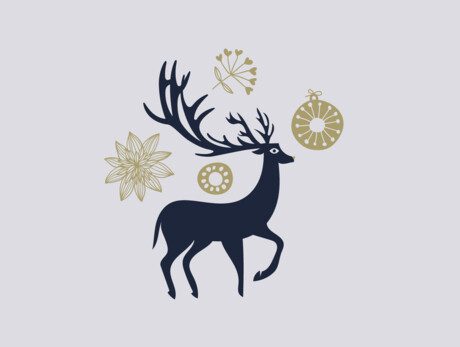 Christmas markets in Pinzolo Christmas markets in Pinzolo