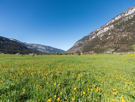 Primavera