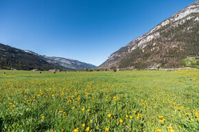 Primavera