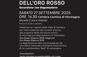 Locandina Evento